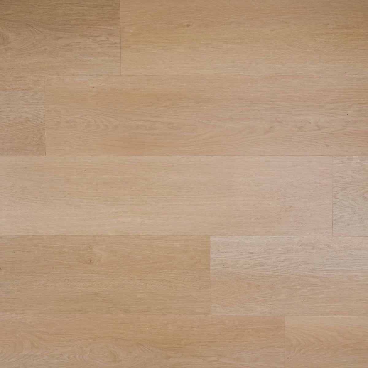 Otium NXT Velora Plank SPC Rigid Click - PVC vloer in beige, rechte planken