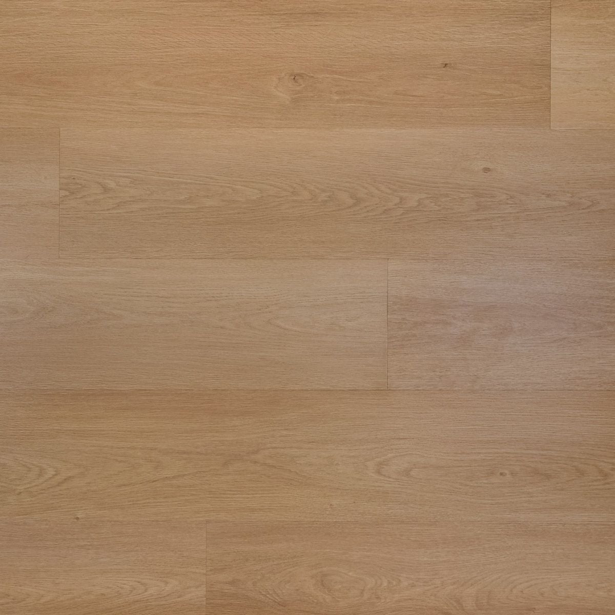 Otium NXT Vena Plank Dryback - PVC vloer in beige, rechte planken