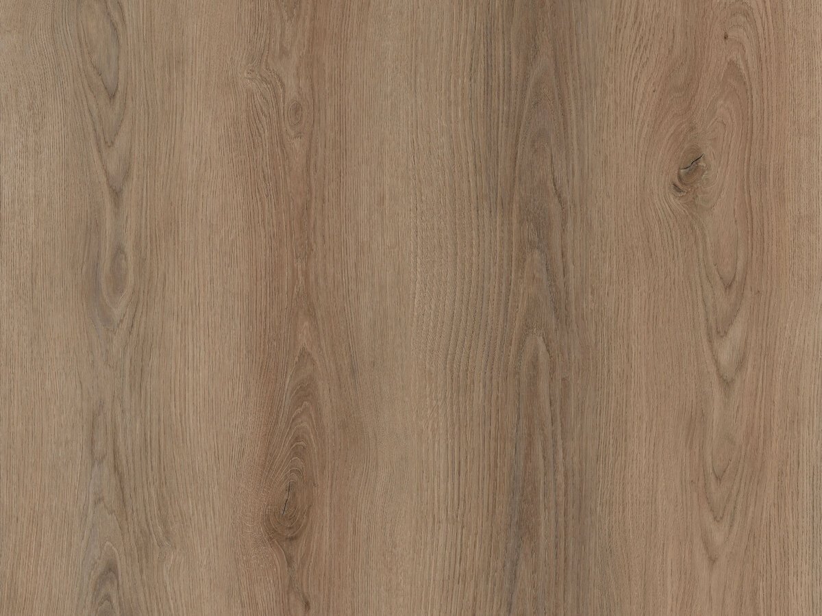 Sierra Plank Dry-Back - PVC vloer in bruin, rechte planken