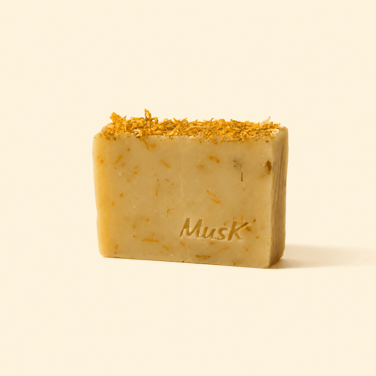 S LÚČMI SLNKA