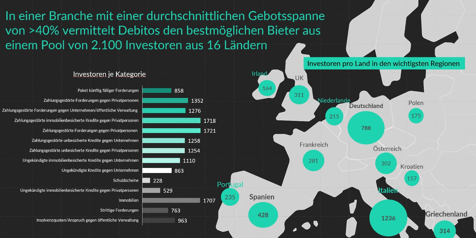 Debitos – Investorennetzwerk: 2.100 Investoren aus 16 Ländern, Verteilung nach Kategorie und Land