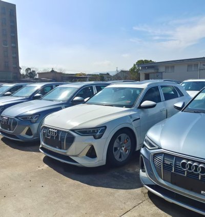 FAW Audi / Audi e-tron / 2021 50 quattro luxury model
