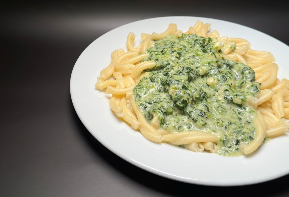 Hausgemachte Pasta mit Spinatinosauce