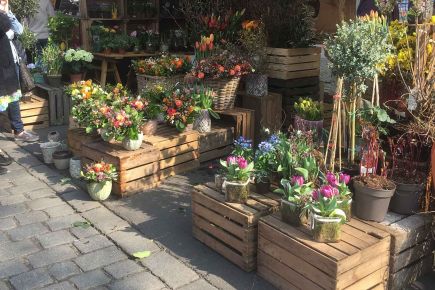 Ökomarkt am Kollwitzplatz der GRÜNEN LIGA Berlin e. V., Wörther Straße/Kollwitzplatz