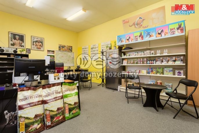 Prodej, Sklad, Dolní Benešov