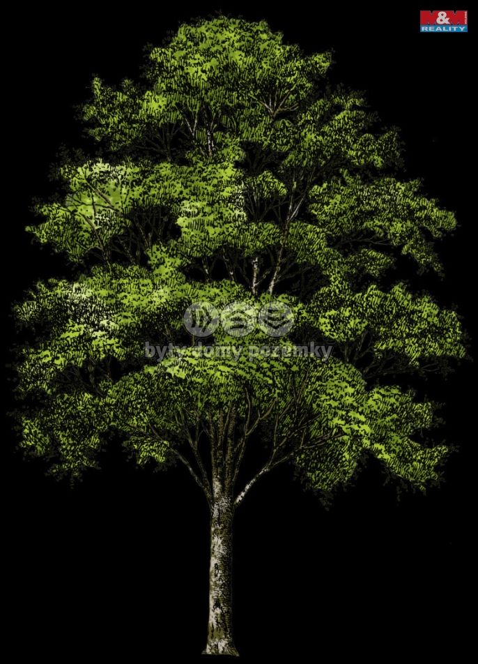 Prodej, Byt 2+1, Liberec