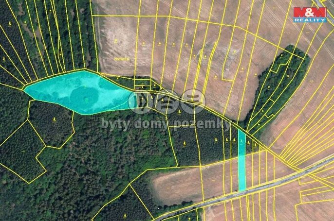 Prodej, Les, Městečko