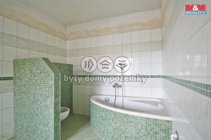 Prodej, Chalupa, Havlíčkova Borová