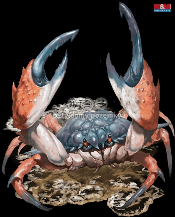 Prodej, Rodinný dům, Suchdol