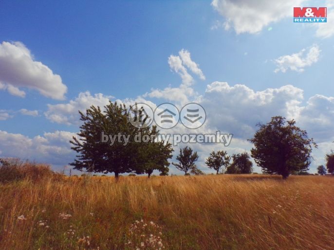 Prodej, Zahrada, Hrochův Týnec