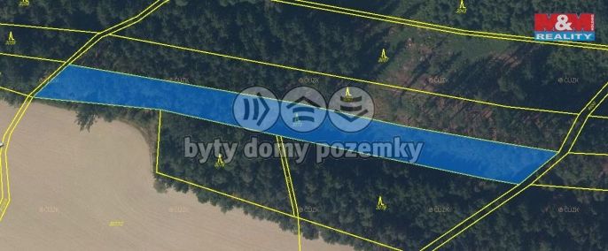 Prodej, Les, Pohledy