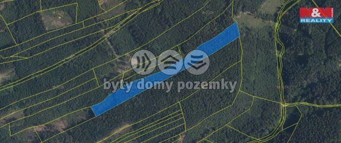 Prodej, Les, Česká Třebová