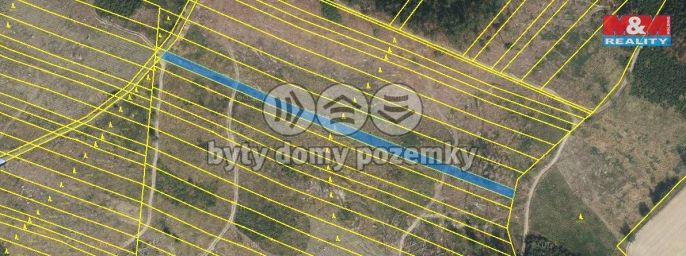 Prodej, Les, Nová Hradečná