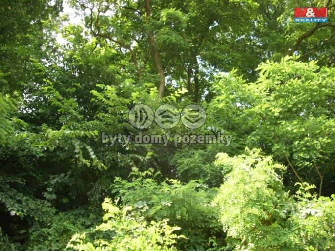 Prodej, Les, Vysoké Mýto