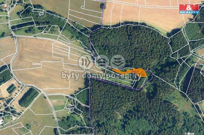 Prodej, Les, Dědová