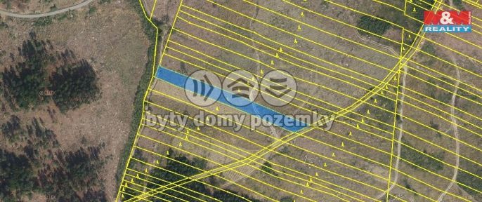 Prodej, Les, Nová Hradečná