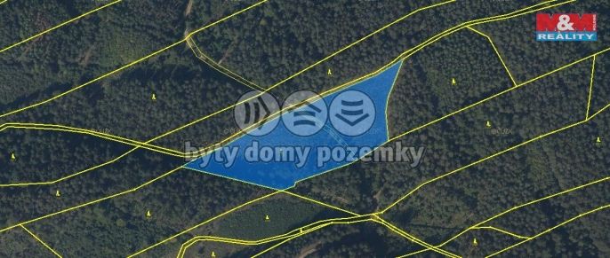 Prodej, Les, Česká Třebová