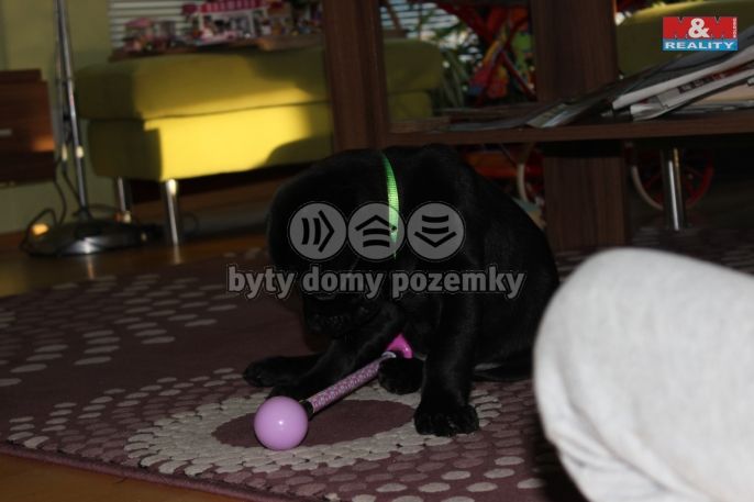 Prodej, Rodinný dům, Kolín