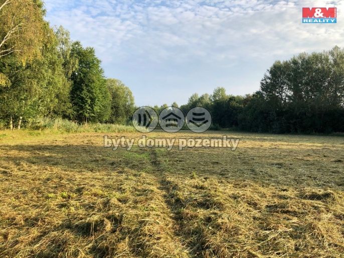 Prodej, Louka, Plzeň