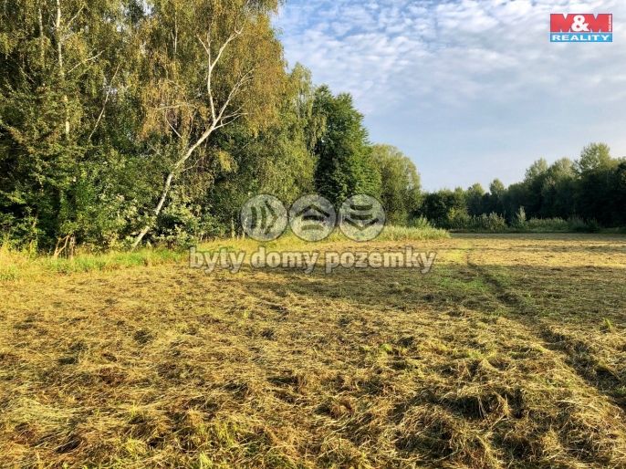 Prodej, Louka, Plzeň