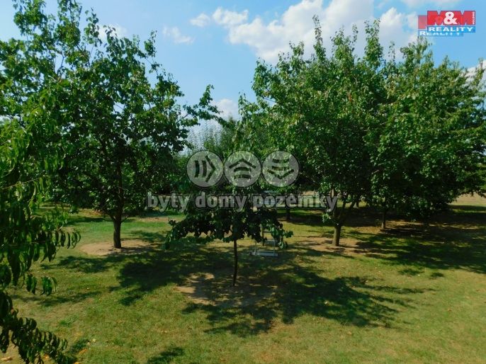 Prodej, Vinice, Mikulov