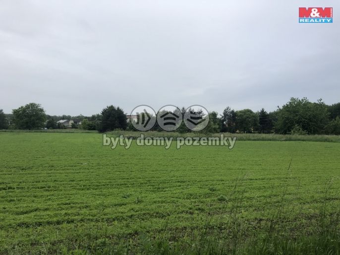 Prodej, Pole, Bohumín