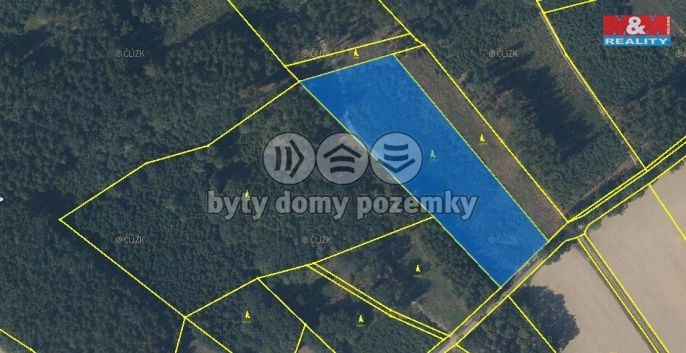 Prodej, Les, Černíkovice