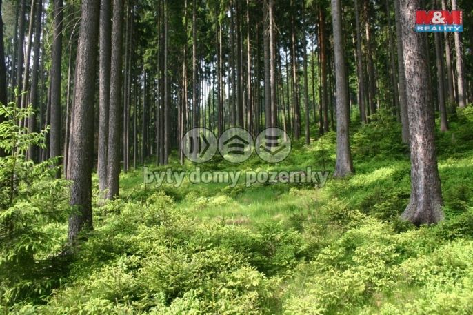 Prodej, Les, Černíkovice