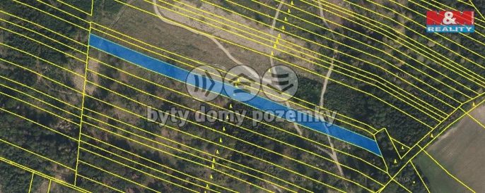 Prodej, Les, Nová Hradečná