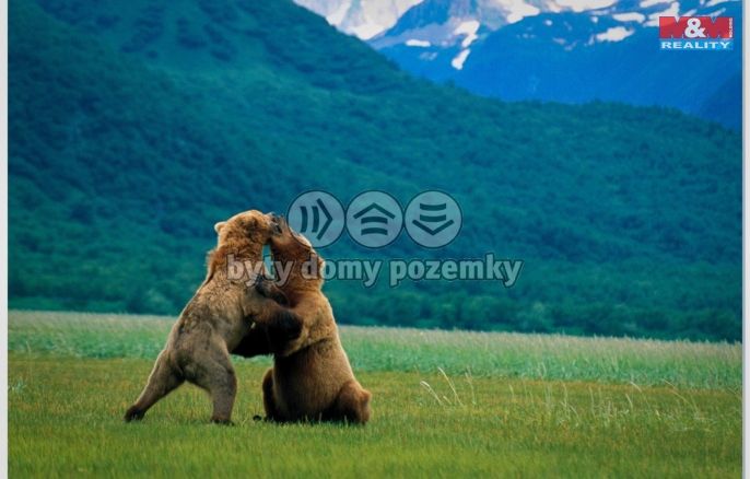 Prodej, Rodinný dům, Český Šternberk