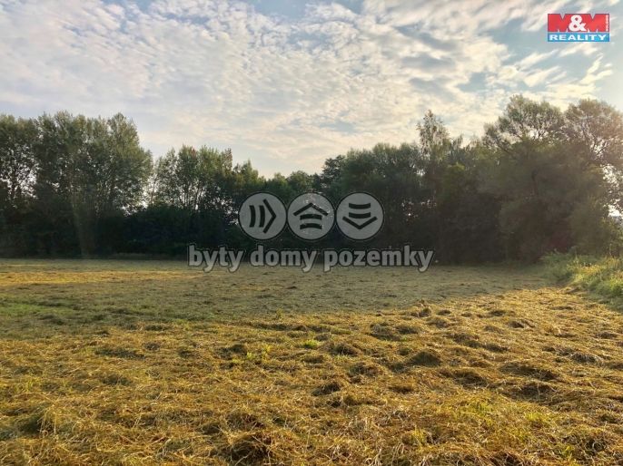 Prodej, Louka, Plzeň