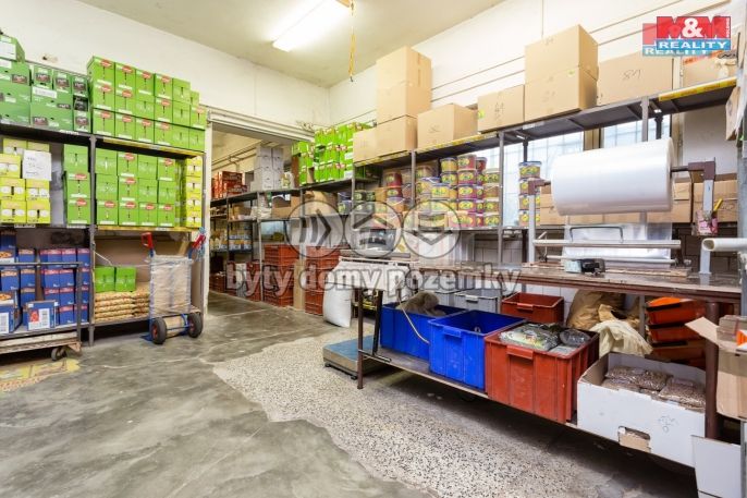 Prodej, Sklad, Dolní Benešov