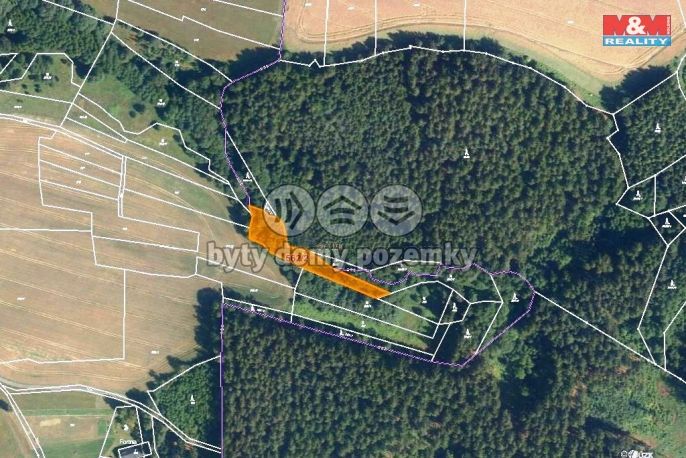 Prodej, Les, Dědová