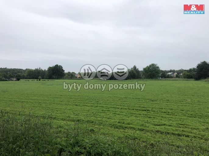 Prodej, Pole, Bohumín