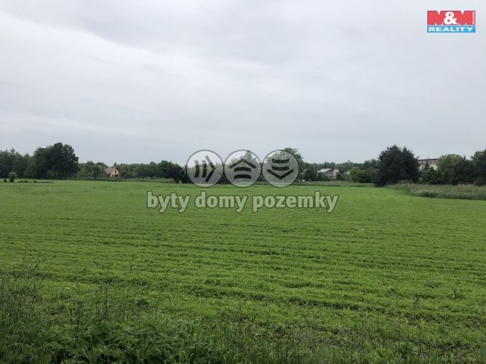 Prodej, Pole, Bohumín