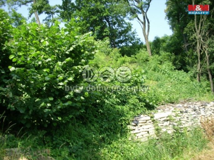 Prodej, Les, Vysoké Mýto