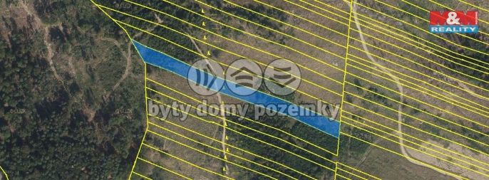 Prodej, Les, Nová Hradečná