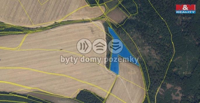 Prodej, Les, Pohledy