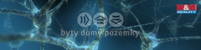 Prodej, Rodinný dům, Starý Plzenec
