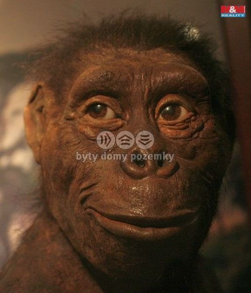 Prodej, Byt 3+kk, Praha