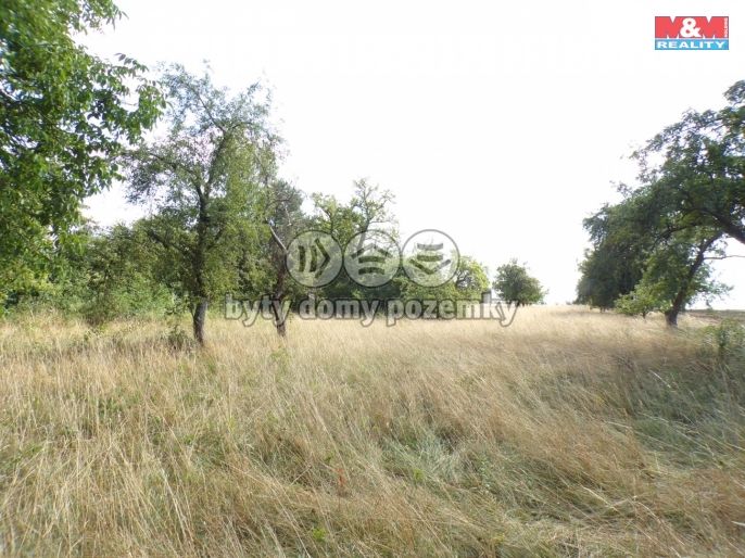 Prodej, Zahrada, Hrochův Týnec