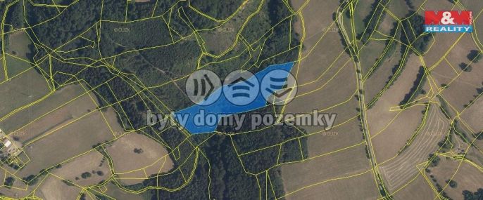 Prodej, Les, Česká Třebová