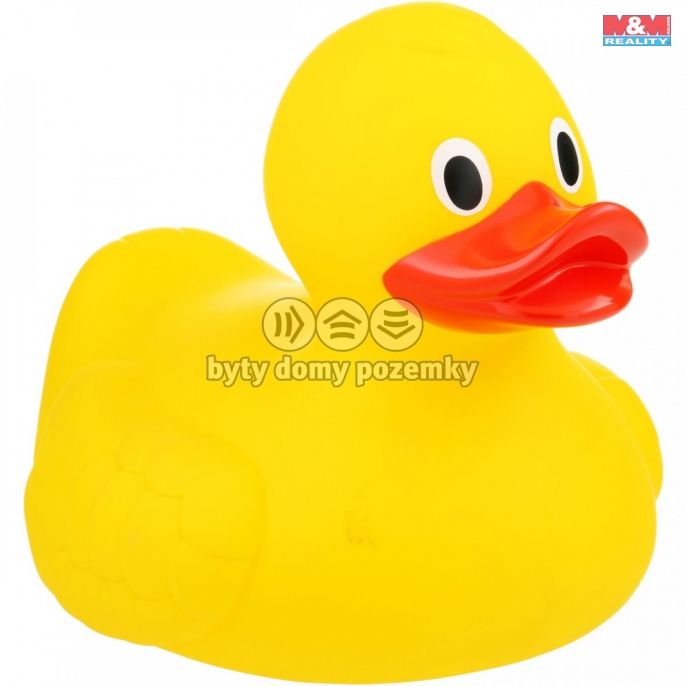 Prodej, Byt 1+kk, Mičovice