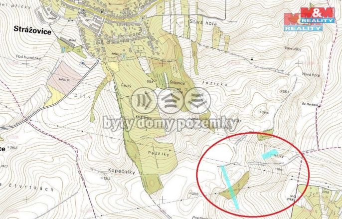 Prodej, Pole, Strážovice