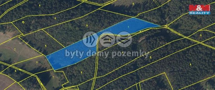 Prodej, Les, Česká Třebová