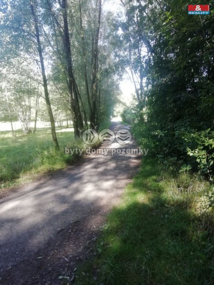 Prodej, Provozní plocha, Dětmarovice