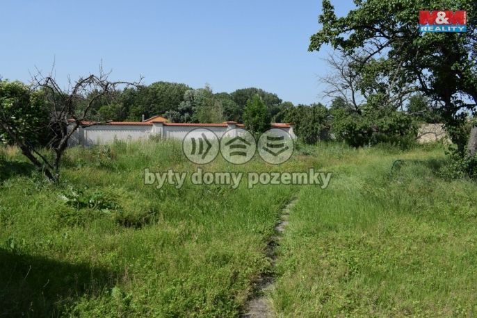 Prodej, Rodinný dům, Zdechovice