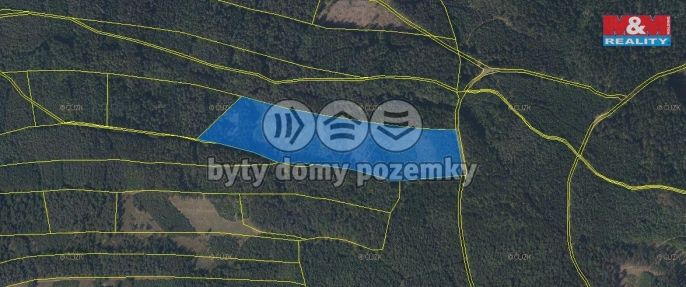 Prodej, Les, Česká Třebová