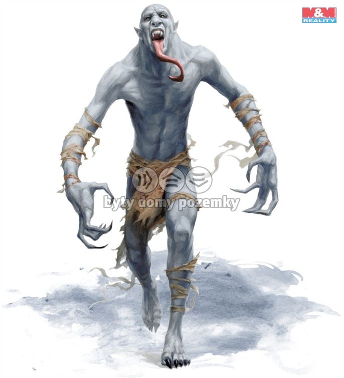 Prodej, Rodinný dům, Zalužany