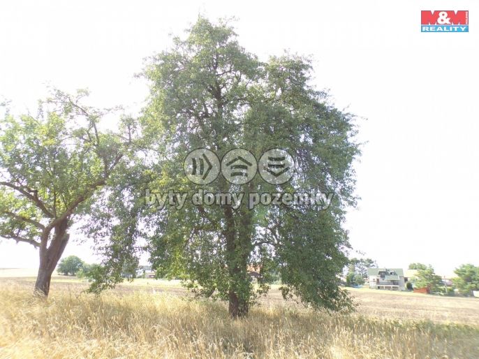 Prodej, Zahrada, Hrochův Týnec